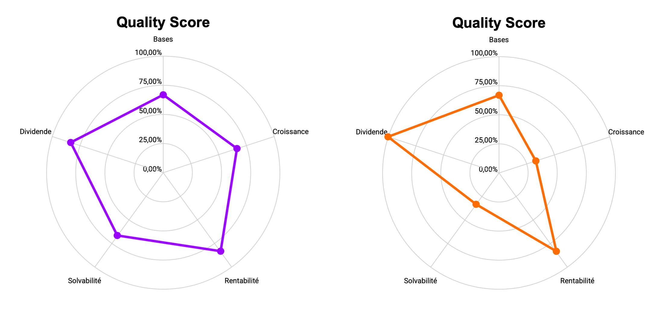 Graphique radar montrant deux profils d'entreprises différents